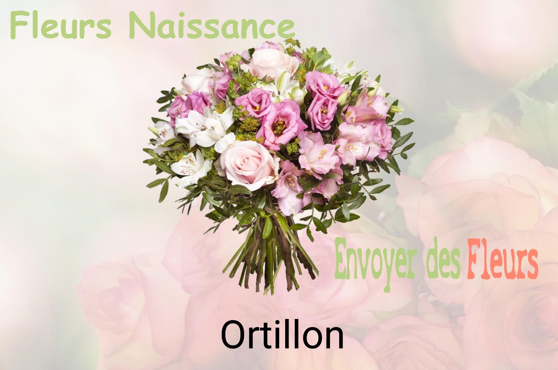 Bouquet de fleurs de naissance livré à Ortillon